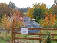 Lovely views of inn in the fall..